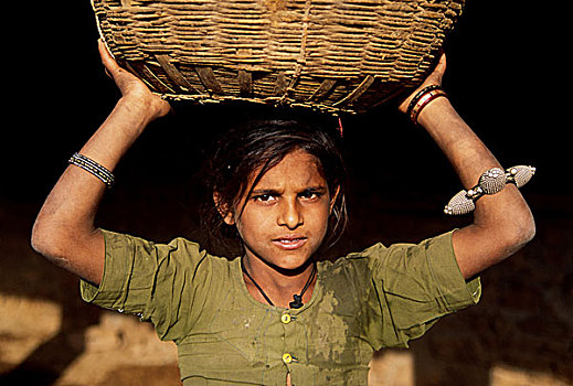 女孩,篮子,满,干燥,烹调,燃料,乡村,靠近,斋浦尔,粉红,城市,印度