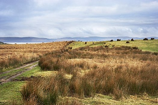 轨迹,高沼地,荒野,阿兰岛,北爱尔郡,克莱德峡湾,苏格兰