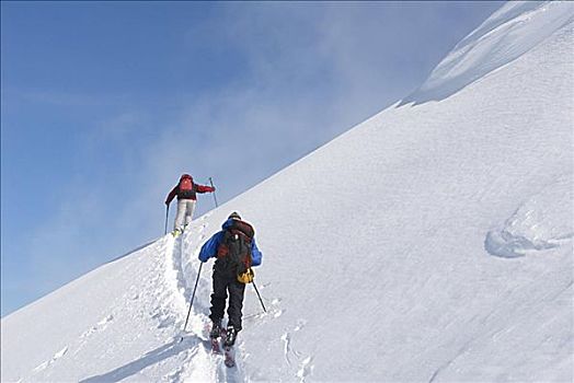 边远地区,滑雪,不列颠哥伦比亚省,加拿大