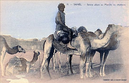 塞内加尔,20世纪,法国人,明信片,艺术家