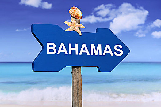 巴哈马,海岸,度假,夏天