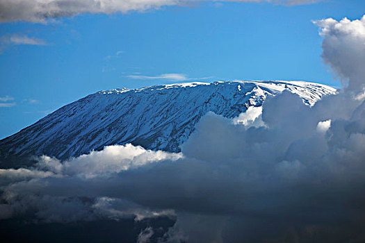 顶峰,乞力马扎罗山,冰冻,上方,安伯塞利国家公园,肯尼亚,非洲