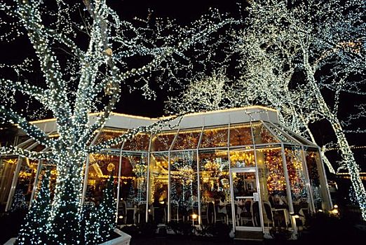 光亮,树,正面,传统,餐馆,中央公园,纽约,美国