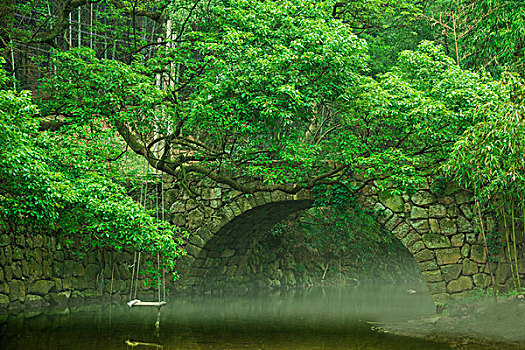古石拱桥与古树秋千架