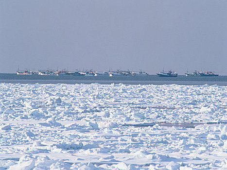 护送,浮冰