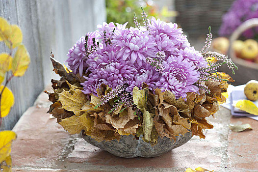 花束,菊花,秋菊