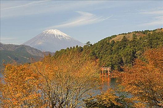 富士山,本州,日本