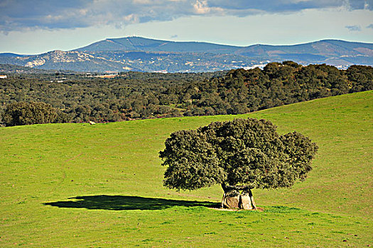 巨石墓,葡萄牙