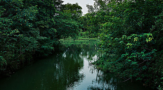 西溪湿地公园