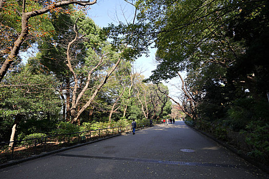 日本东京上野公园