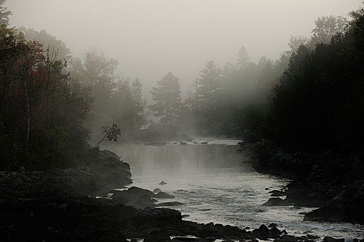 神秘,模糊,清晨,阿尔冈金省立公园,安大略省,省,加拿大,北美