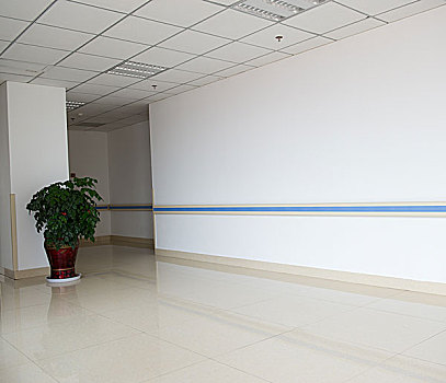 走廊,医院,室内