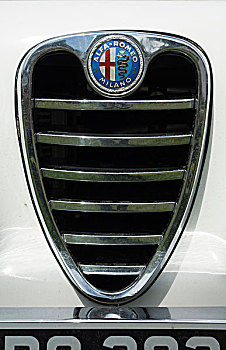 徽章,60年代,罗密欧,汽车