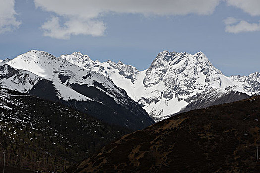 香格里拉雪山