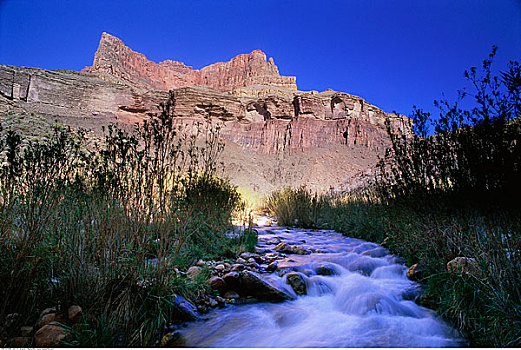 鲜明,天使,溪流,大峡谷国家公园,亚利桑那,美国