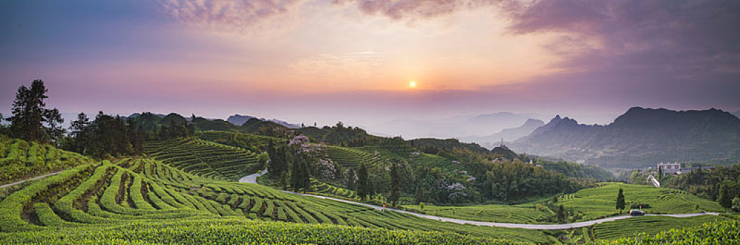 宜宾珙县鹿鸣蜿蜒茶山自然风光