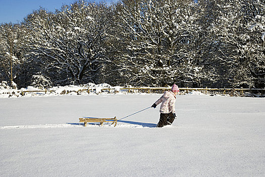 女孩,拉拽,雪橇,雪中