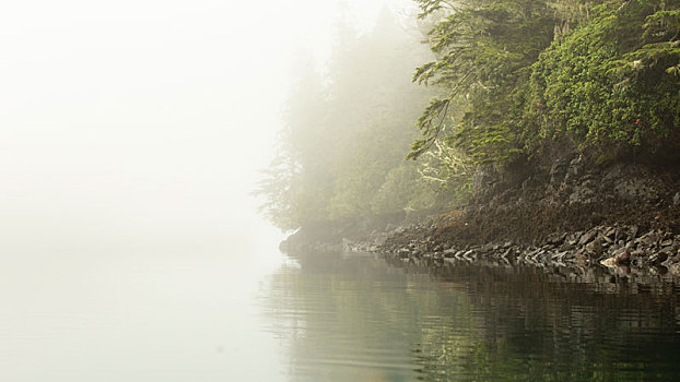 加拿大,不列颠哥伦比亚省,约翰斯顿海峡,海岸,密集,雾