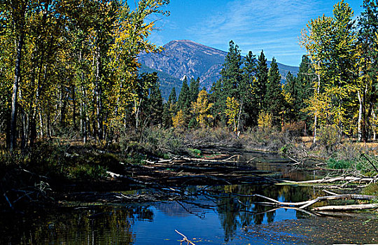 国家野生动植物保护区,蒙大拿,美国
