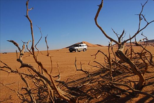 吉普车,旅游,沙漠,利比亚
