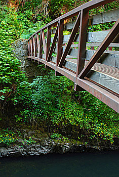 桥,穿过,银,溪流,小路,银色瀑布州立公园,希威尔顿,俄勒冈