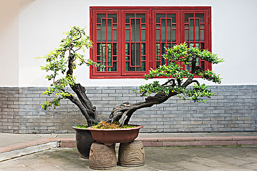 中式古典建筑盆栽图片