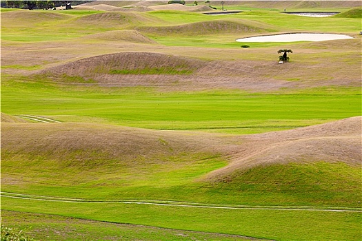 高尔夫,地点,漂亮,绿色