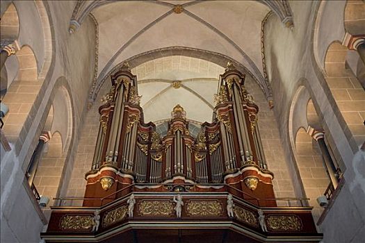 器官,大教堂,埃森维登,德国,北莱茵威斯特伐利亚