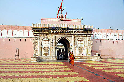 庙宇,靠近,比卡内尔,拉贾斯坦邦,北印度,亚洲