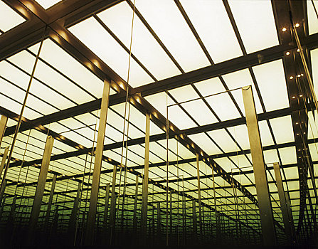 展示室,伦敦,2002年,天花板,更衣室