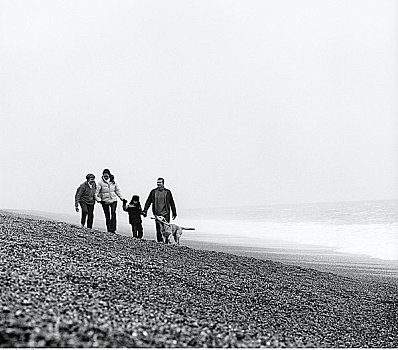 家庭,走,海滩,狗,英格兰