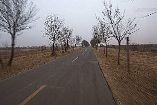 东营黄河入海口湿地