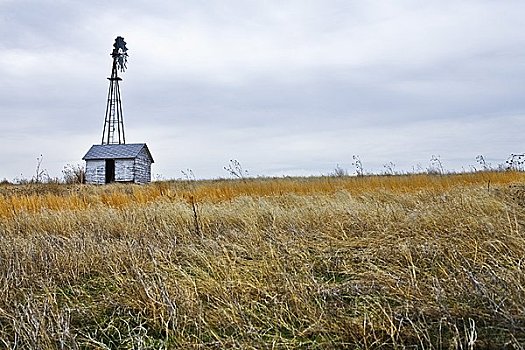 风车,农场,堪萨斯,美国