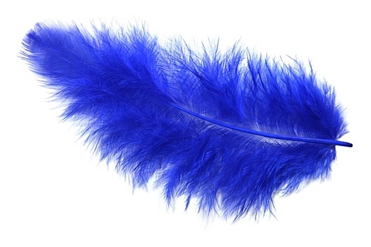蓝色,羽毛