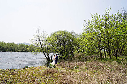 溪流,流水,河流,绿树