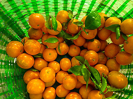 橘子,芦柑,砂糖橘