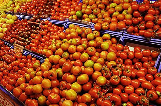 多样,西红柿,展示,市场