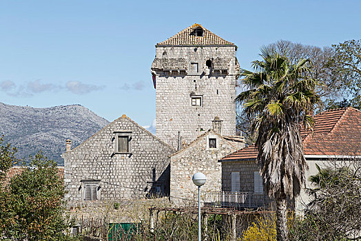 城堡,沿岸城镇,岛屿,达尔马提亚,克罗地亚,欧洲