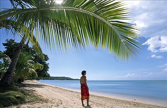 女人,海滩,棕榈树,波多黎各,加勒比海