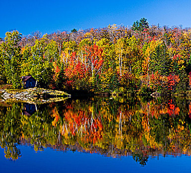 秋天,枫树,反射,湖,安大略省,加拿大