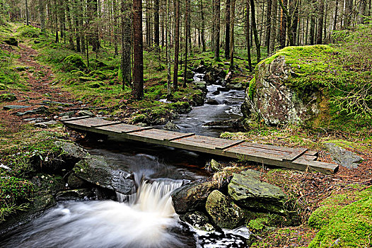 斯堪的纳维亚,瑞典,风景,厚木板,桥,上方,河流