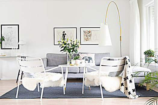 羊皮,白色背景,花园椅,苍白,灰色,沙发,设计师,落地灯,休闲沙发,区域