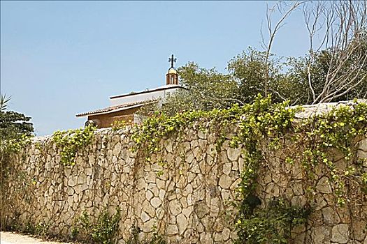 常春藤,石墙,坎昆,墨西哥