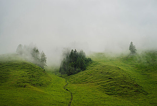 雾气,上方,绵延起伏,萨尔茨堡,奥地利
