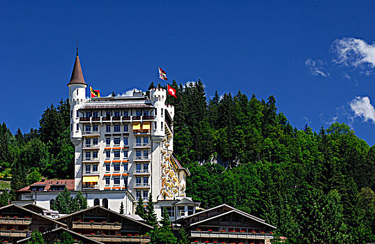 宫殿,酒店,瑞士,欧洲