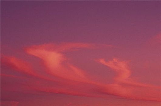 夏威夷,活力,日落,天空,粉色,螺旋,云