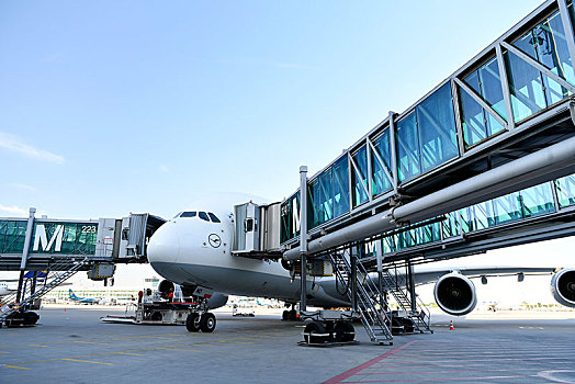 汉莎航空公司,空中客车,乘客,桥,位置,航站楼,慕尼黑,机场,上巴伐利亚,巴伐利亚,德国,欧洲