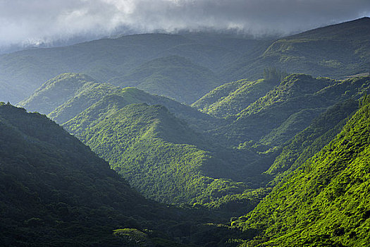 俯拍,雨林,山峦,毛伊岛,夏威夷,美国