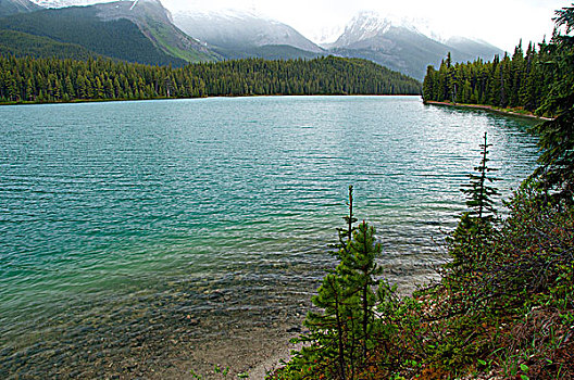 湖,山脉,背景,玛琳湖,碧玉国家公园,艾伯塔省,加拿大