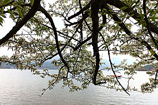 泸沽湖风光